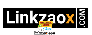 linkzao x