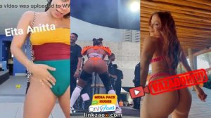 Anitta rebolando em show buceta nua